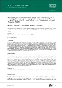 Variability in Pulmonary Reduction and Asymmetry in a Serpentiform Lizard: the Sheltopusik, Pseudopus Apodus (Pallas, 1775)