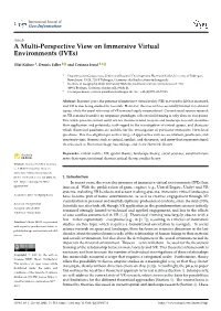 A Multi-Perspective View on Immersive Virtual Environments (Ives)