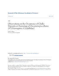 Observations on the Occurrence of Chalky Deposits on Forewings of Oncometopia Orbona (F) (Homoptera: Cicadellidae) Mark A