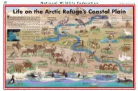 Arctic Map.Lay