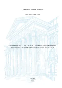 LARA CARRARO VARGAS.Pdf