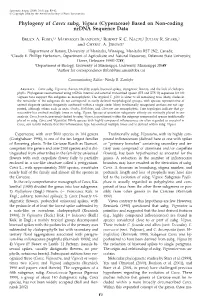 Phylogeny of Carex Subg. Vignea (Cyperaceae) Based on Non-Coding Nrdna Sequence Data