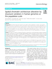 Spatial Chromatin Architecture Alteration By