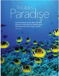 Trouble in Paradise
