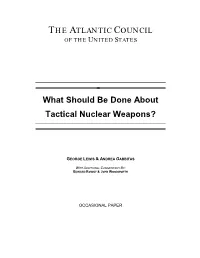 What Should Be Done About Tactical Nuclear Weapons?