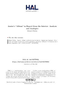 Auster's ``Album'' in Report from the Interior: Analysis