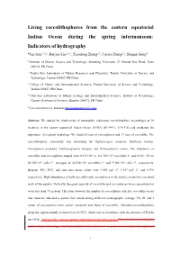 Living Coccolithophores from the Eastern Equatorial Indian Ocean During the Spring Intermonsoon: Indicators of Hydrography
