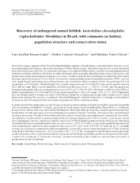 Discovery of Endangered Annual Killifish Austrolebias