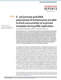 E. Coli Primase and DNA Polymerase III Holoenzyme Are Able to Bind