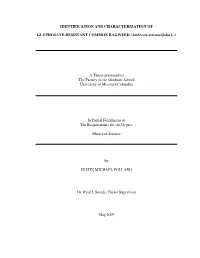 Identification and Characterization Of