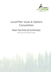 Local Plan Summary