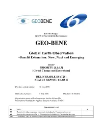 GEO-BENE D8T25 Status Report Year II Short.Pdf