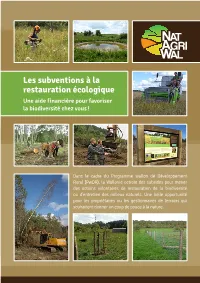 Les Subventions À La Restauration Écologique Une Aide Financière Pour Favoriser La Biodiversité Chez Vous !