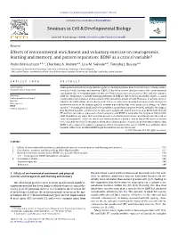 Effects of Environmental Enrichment and Voluntary Exercise on Neurogenesis