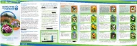 Invasive Plants from Your Guide to PLANT WISE Gardening INVASIVE - AVOID USE 4 Make Good Choices