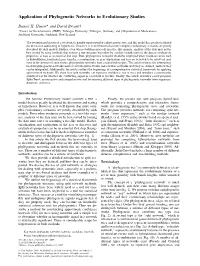 Application of Phylogenetic Networks in Evolutionary Studies