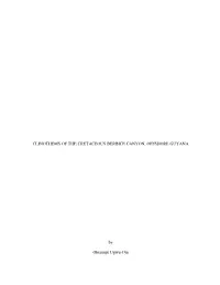 By Obianuju Ugwu-Oju CLINOTHEMS of the CRETACEOUS BERBICE