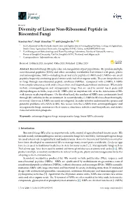 Diversity of Linear Non-Ribosomal Peptide in Biocontrol Fungi