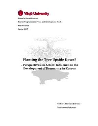 Planting the Tree Upside Down? – Perspectives on Actors’ Influence on the Development of Democracy in Kosovo