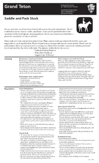 Saddle and Pack Stock