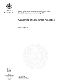 Genomics of Sorocarpic Amoebae
