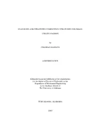 Lean Burn and Stratified Combustion Strategies for Small