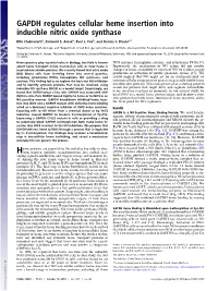 GAPDH Regulates Cellular Heme Insertion Into Inducible Nitric Oxide Synthase