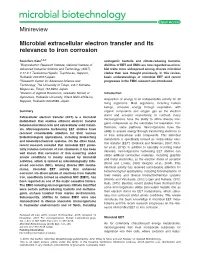 Microbial Extracellular Electron Transfer and Its Relevance to Iron Corrosion