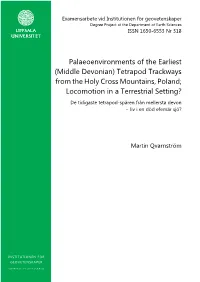 (Middle Devonian) Tetrapod Trackways from The