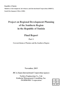 Project on Regional Development Planning of the Southern Region In