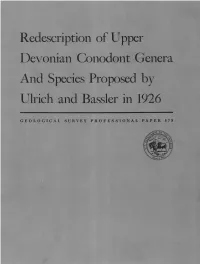 Redescription of Upper Devonian Conodont Genera and Species Proposed by Ulrich and Bassler in 1926