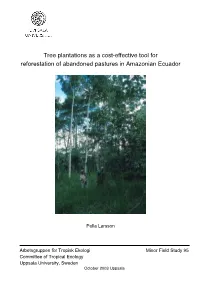 Tree Plantations As a Cost-Effective Tool for Reforestation of Abandoned Pastures in Amazonian Ecuador
