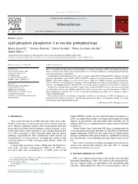 Lipid Phosphate Phosphatase 3 in Vascular Pathophysiology