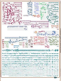 Generated by SRI International Pathway Tools Version 25.0, Authors S
