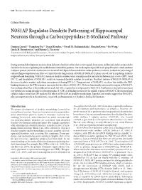 NOS1AP Regulates Dendrite Patterning of Hippocampal Neurons Through a Carboxypeptidase E-Mediated Pathway