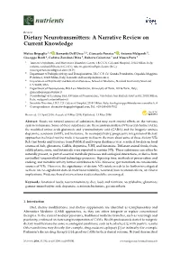 Dietary Neurotransmitters: a Narrative Review on Current Knowledge
