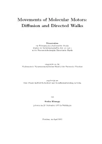 Movements of Molecular Motors: Diffusion and Directed Walks