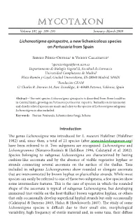 &lt;I&gt;Lichenostigma Epirupestre&lt;/I&gt; a New Lichenicolous Species On
