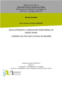 Memoire De Master 1