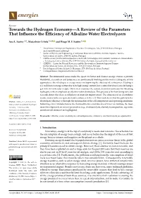 Towards the Hydrogen Economy—A Review of the Parameters That Inﬂuence the Efﬁciency of Alkaline Water Electrolyzers