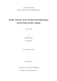 Benthic Structures in the Namibian Upwelling Region and the Pelago-Benthic Coupling