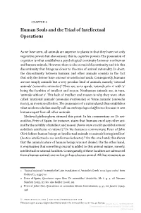 Human Souls and the Triad of Intellectual Operations