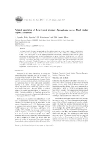 Natural Spawning of Honeycomb Grouper Epinephelus Merra Bloch Under Captive Conditions