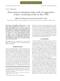 Extraosseous Plasmacytoma with an Aggressive Course Occurring Solely in the CNS