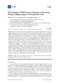 Involvement of TRPC4 and 5 Channels in Persistent Firing in Hippocampal CA1 Pyramidal Cells