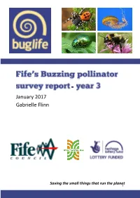 Pollinator Survey Report Year 3