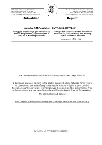 Adroddiad Report