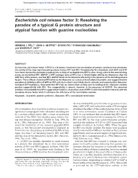 Escherichia Coli Release Factor 3: Resolving the Paradox of a Typical G Protein Structure and Atypical Function with Guanine Nucleotides