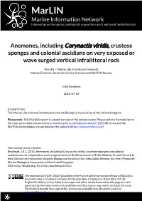 Download PDF Version