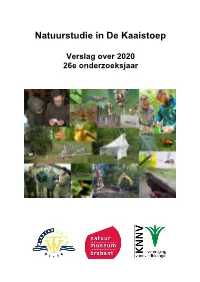 Natuurstudie in De Kaaistoep